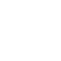 ce logo Gillette